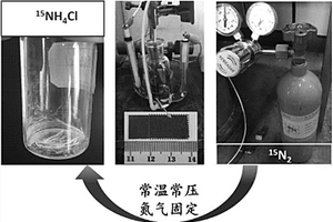 自支撑的金属纳米粒子/多孔氮掺碳膜及其制备方法和应用