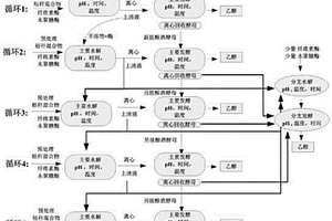 提高利用玉米秸秆生产燃料乙醇产量的水解发酵工艺