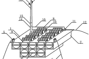 在带抛锚的插入式联排浮筒平台上建造太阳能光伏电站