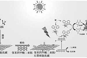 氮化碳复合材料及其制备方法与人工光合作用中的应用