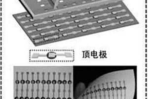 利用丝网印刷技术制备供能器件阵列的方法