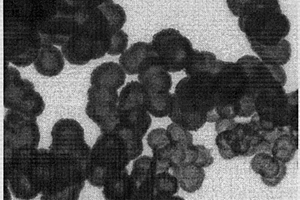 纳米薄片构筑的二氧化钛空心球的制备方法