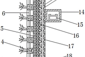 可雨水收集的墙体绿化结构