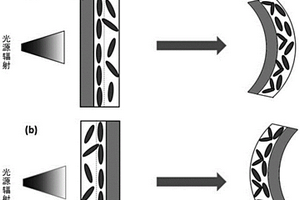 具有双层膜结构的光驱动复合材料及其制备方法