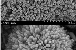金红石型二氧化钛纳米棒微球的制备方法