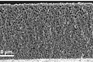 具有高催化活性的氮掺杂多孔碳膜及其制备方法和应用