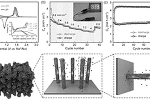 直接生长三维纳米阵列电极用作高面积容量的钠存储