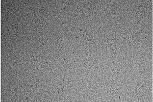 磁性纳米荧光碳点的制备与分离方法