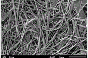 锂离子电池用高容量介孔碳纳米纤维及其制备方法
