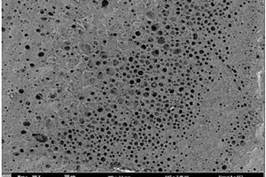 纳米材料修饰橡胶-凝胶电解质薄膜及制备方法及用途
