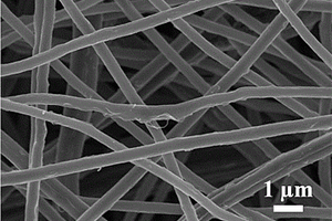 磷掺杂的硫化钴镍/碳纳米管-碳纳米纤维复合材料及其制备方法