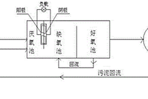 强化污水脱氮除磷效率同时产电的方法