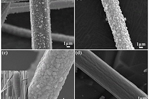 水烛香蒲状MoS<Sub>2</Sub>/碳纳米纤维复合材料及其制备方法和应用