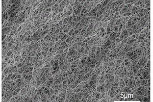 铁/碳化铁高填充率碳纳米管锂硫电池正极材料的制备方法