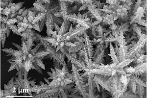 纳米花状硫化镉@硫化镍薄膜异质结构及其制备方法