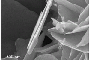 La掺杂花瓣状BiOBr光催化材料的制备方法