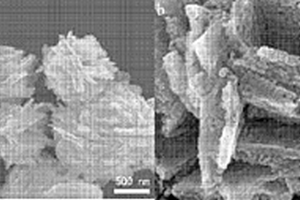 花状介孔三氧化二铁纳米材料的制备方法