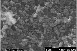 低温性能优异的磷酸铁锂正极材料及其制备方法