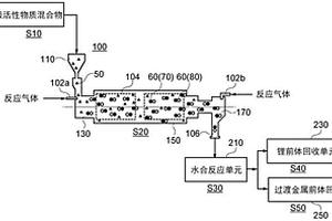 再生锂前体的方法和再生锂前体的系统