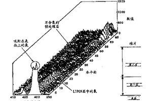 锂硫电池的负极及其制备方法以及包含该负极的锂硫电池