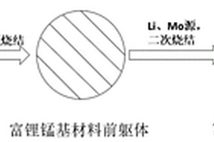 钼酸锂包覆的富锂锰基正极材料及其制备方法和应用