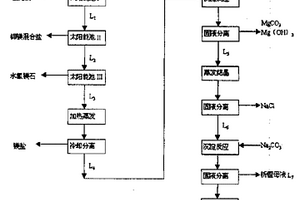 从高镁锂比盐湖水中提取碳酸锂的方法