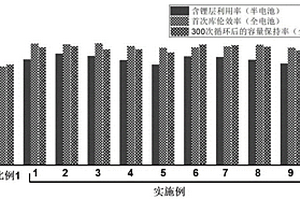 预锂化负极片、其制备方法及锂电池