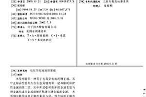 电化学电池的锂阳极