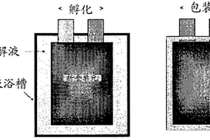 制备锂离子聚合物电池的方法、电池单元，以及含有所述电池单元的锂离子聚合物电池