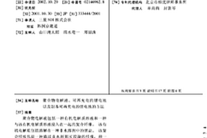 聚合物电解液、可再充电的锂电池以及制备可再充电的锂电池的方法