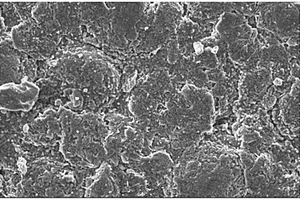 锂离子电池嵌锂态负极电镜样品的制备及观测方法