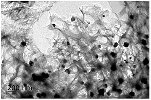 多级孔碳与硫化钴的复合材料、其制备方法与含有其的锂硫电池正极材料和锂硫电池