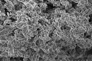 磷酸亚铁锂正极活性材料的制备方法及其制备的磷酸亚铁锂正极活性材料