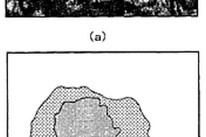 锂二次电池用负极材料及其制备方法和使用该负极材料的锂二次电池用负极和锂二次电池