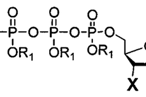5-[3-(生物素酰氨基己酰)-胺基]-丙烯基-2′-去氧-5′-三磷酸尿嘧啶核苷锂盐的合成工艺