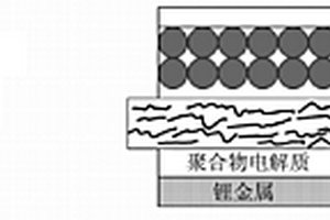 用于锂离子二次电池的电解质和锂离子二次电池