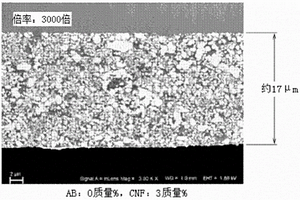 锂离子二次电池的电极及使用该电极的锂离子二次电池