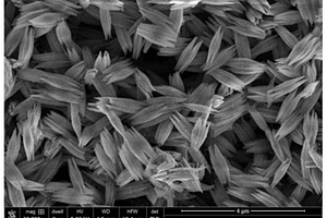 梭形结构H<Sub>2</Sub>Ti<Sub>5</Sub>O<Sub>11</Sub>·H<Sub>2</Sub>O纳米材料的溶剂热合成方法及锂电池电极材料应用