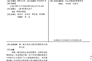 锂-硫电池的正极活性物质及其制备方法