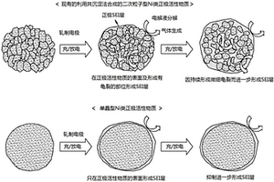 用于锂二次电池的正极活性物质、其制备方法、包含它的电极及包含该电极的锂二次电池