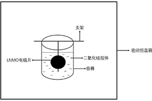 正电极片及其处理方法和在制备锂电池中的应用、锂电池