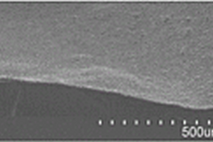 硅-碳纳米复合薄膜及其制备方法和应用以及锂离子电池