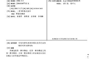 可充电锂电池的负极以及具有该负极的可充电锂电池