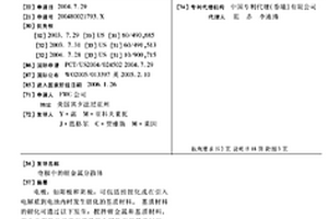 电极中的锂金属分散体