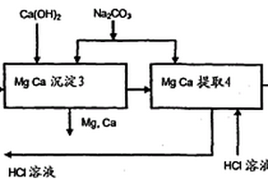 制备纯的含锂溶液的方法和设备