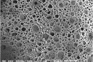 锂锰型离子筛复合膜的制备方法及其用途