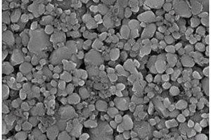 磷酸铁锂正极材料及其制备方法和应用