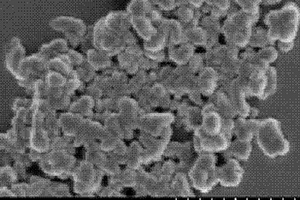 纳米钛酸锂材料的水热合成方法