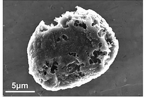 富锂多孔石墨材料及其制备方法和应用