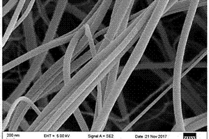 静电纺丝技术合成硅酸铁锂纳米纤维的方法